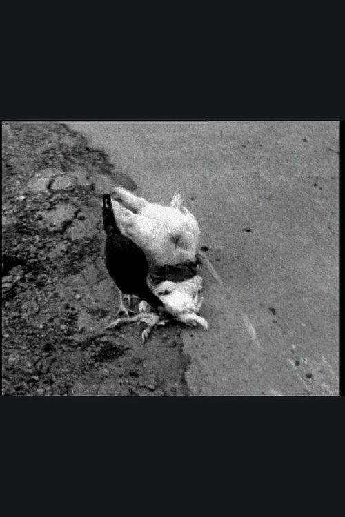 The Delmarva Chicken of Tomorrow 2002 official movie poster