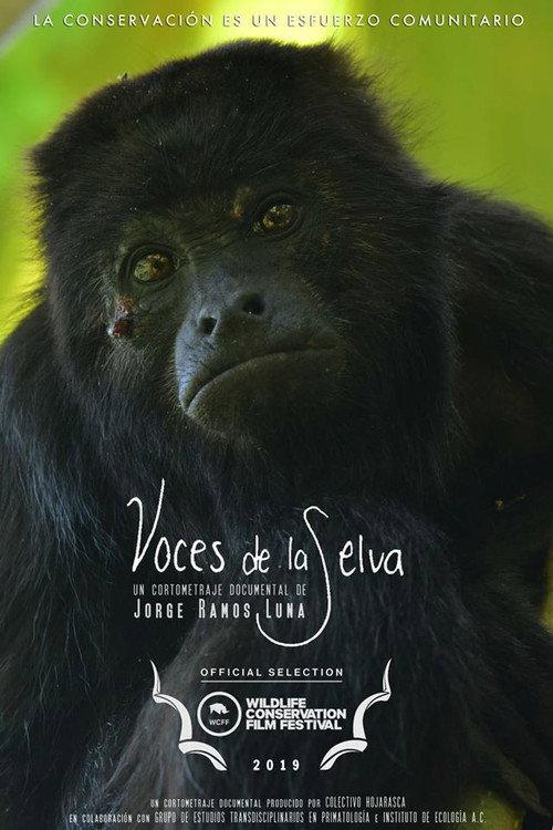 Rainforest Voices 2019 official movie poster