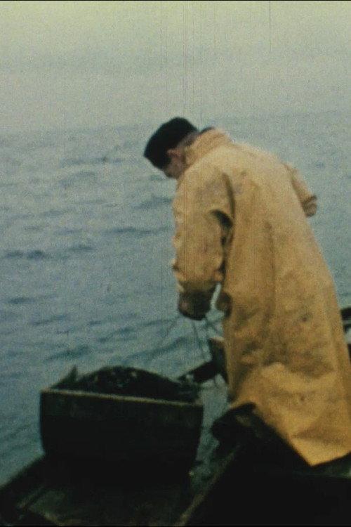 The Last Fisherman 1958 official movie poster