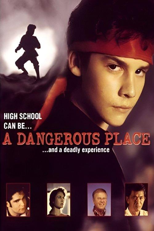 A Dangerous Place 1994 official movie poster