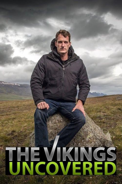 The Vikings Uncovered 2016 official movie poster