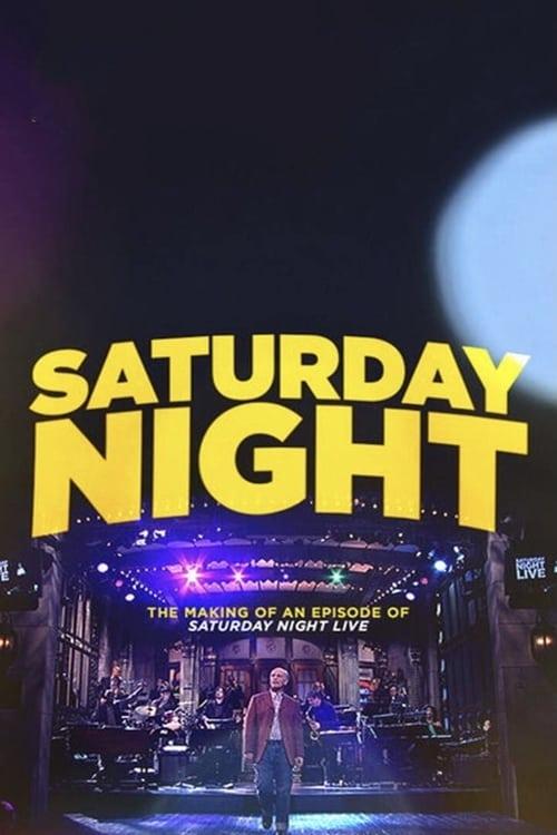 Saturday Night 2010 official movie poster