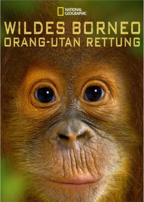 Orangutan Rescue - Back to The Wild 2014 official movie poster