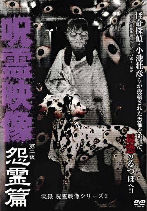 Jitsuroku Jurei Video Series 2: Jurei Video, Night 2: Grudge Spirit Arc 2009 official movie poster