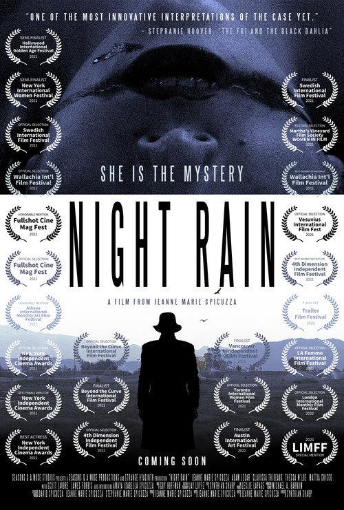 Night Rain  official movie poster
