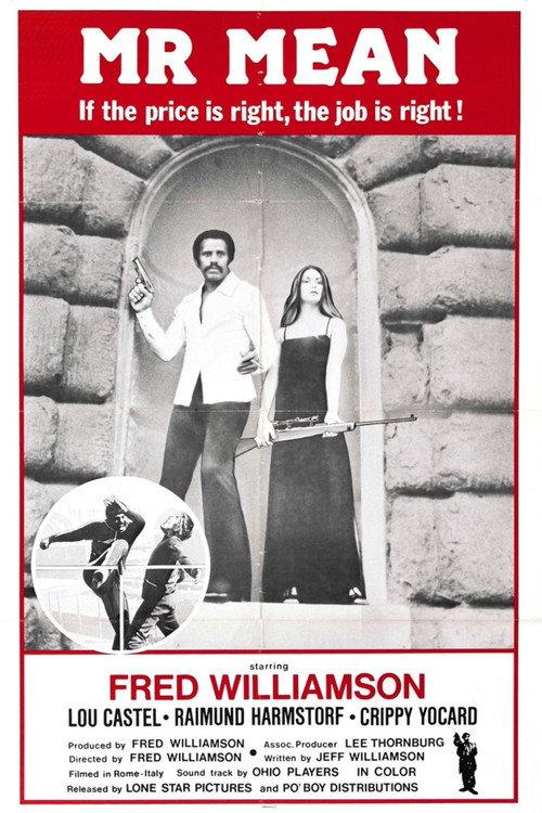 Mr. Mean 1977 official movie poster