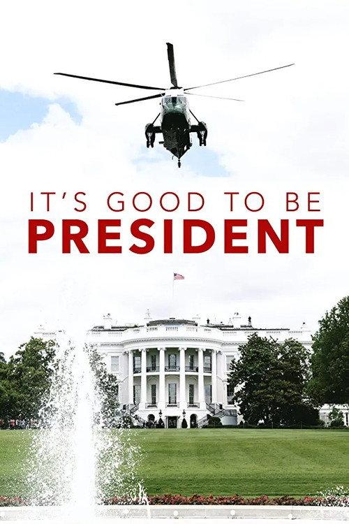 It's Good to Be the President 2011 official movie poster