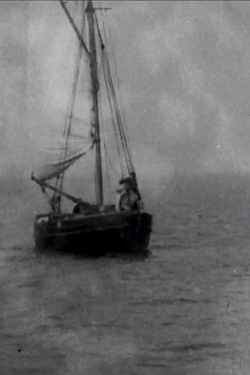 Panorama of the River Avon to Portishead 1902 official movie poster