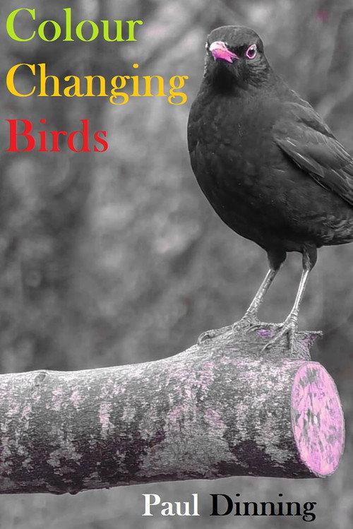Colour Changing Birds 2023 official movie poster