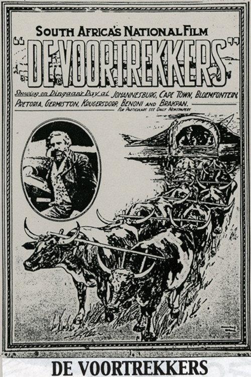 Winning a Continent 1916 official movie poster