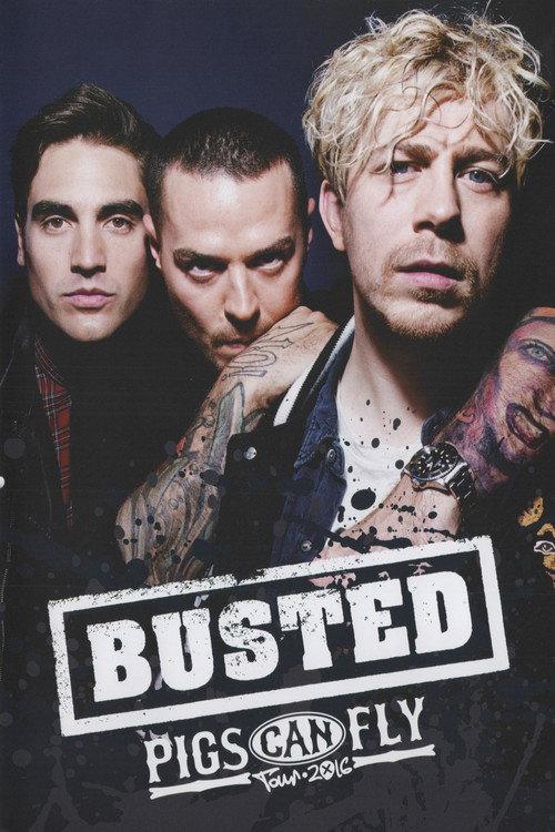 Busted: Pigs Can Fly Tour 2016 2018 official movie poster