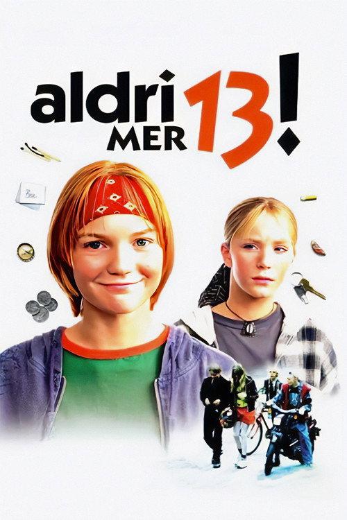 13 Never Again! 1996 official movie poster