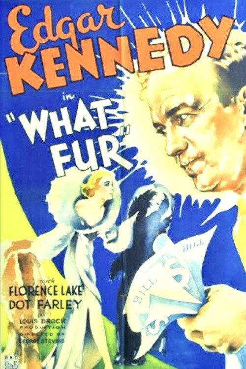 What Fur 1933 official movie poster
