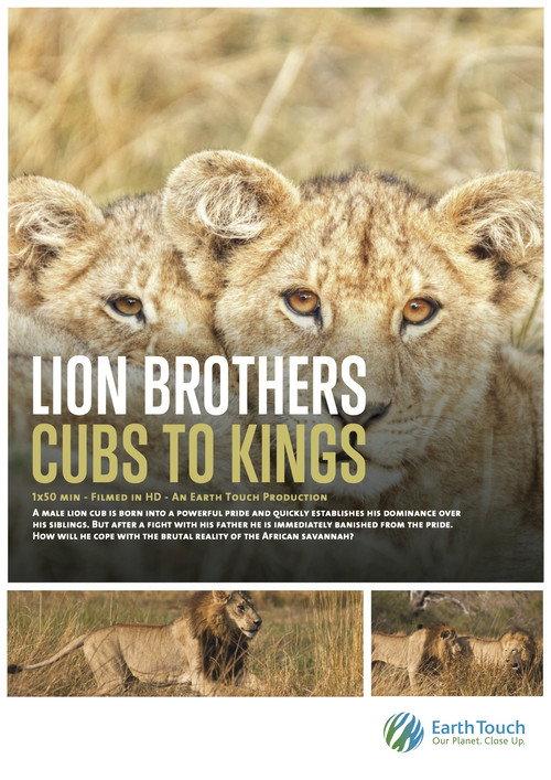 Lion Brothers: Cubs to Kings 2019 official movie poster