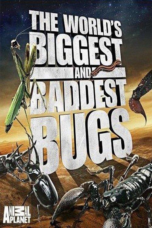 The World's Biggest and Baddest Bugs 2009 official movie poster