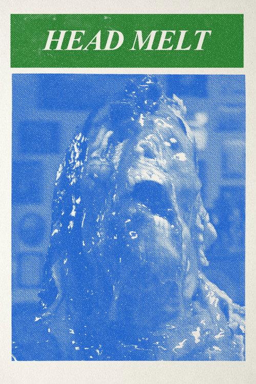 Head Melt 2009 official movie poster