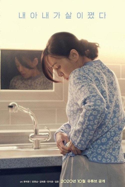 My Wife has Gained Weight 2020 official movie poster