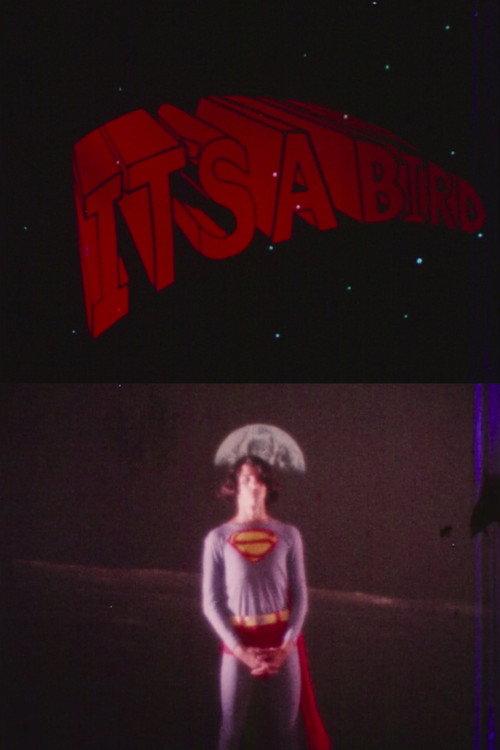 It's a Bird 1971 official movie poster