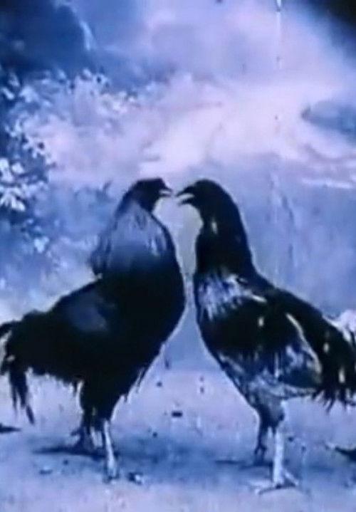 Criminal Animals 1994 official movie poster