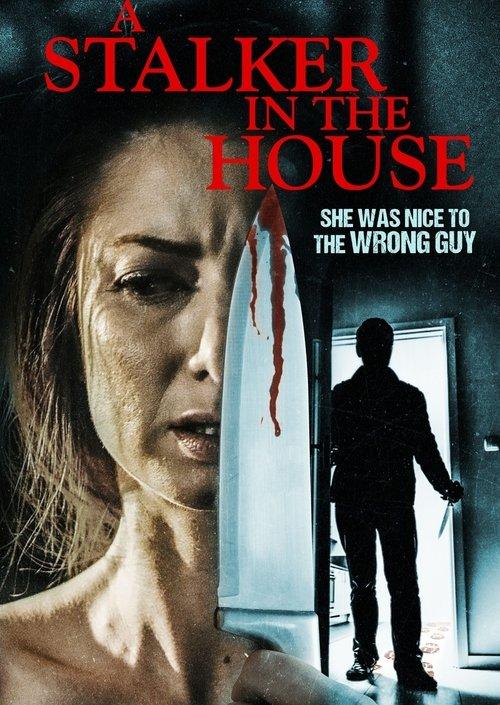 A Stalker in the House 2021 official movie poster