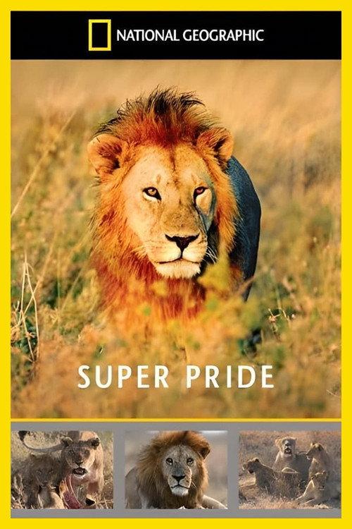Superpride 2008 official movie poster