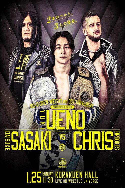 DDT Mission in Battle ~new year splendor~ 2026 official movie poster