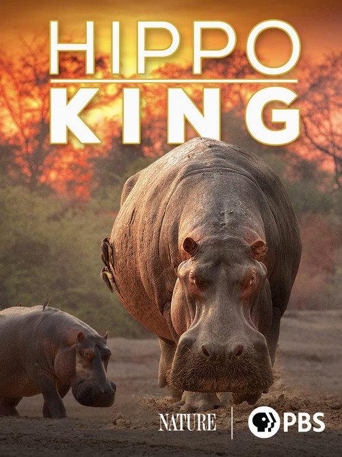 Hippo King 2022 official movie poster