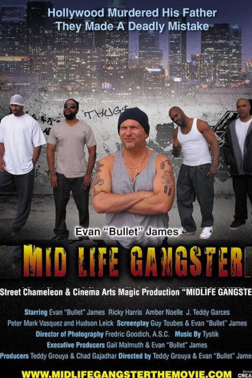 Mid Life Gangster 2013 official movie poster