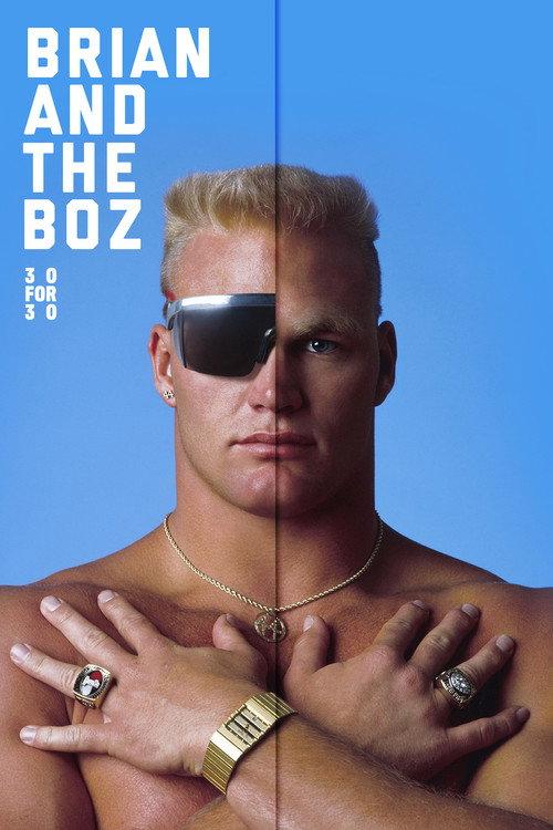 Brian and the Boz 2014 official movie poster