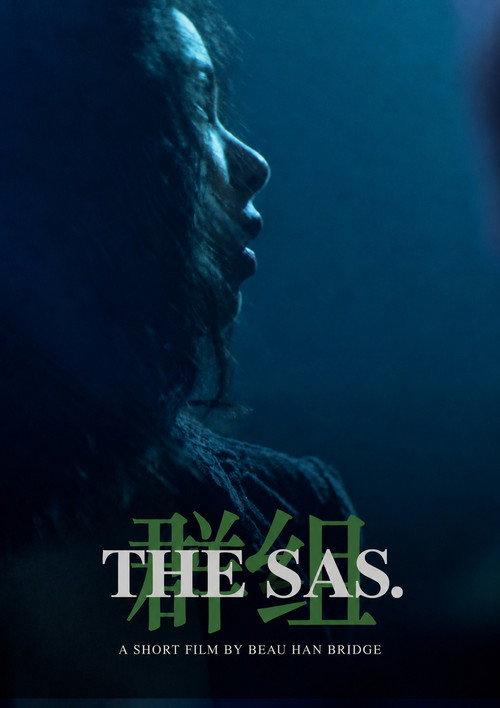 The SAS 2026 official movie poster