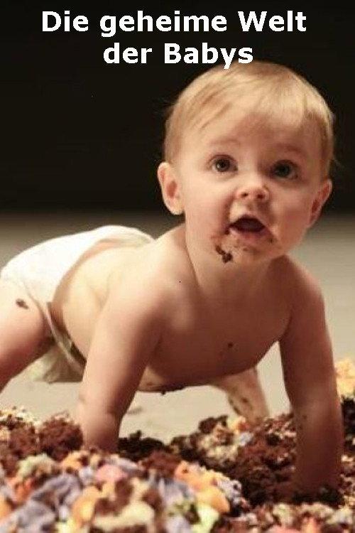 Die geheime Welt der Babys 2014 official movie poster
