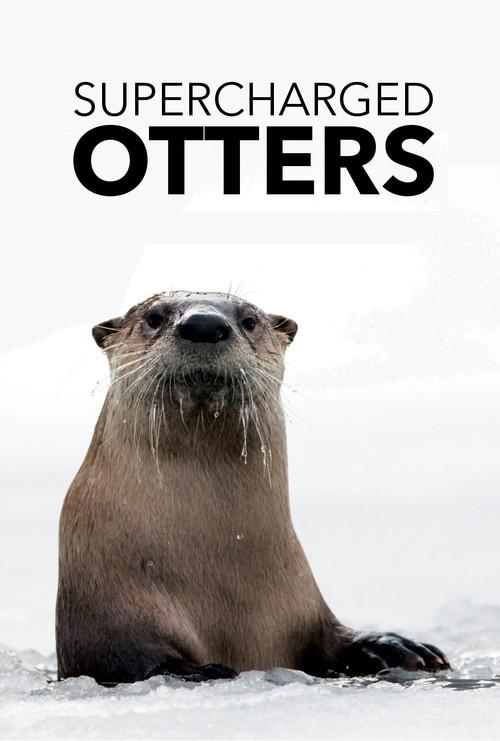 Supercharged Otters 2017 official movie poster
