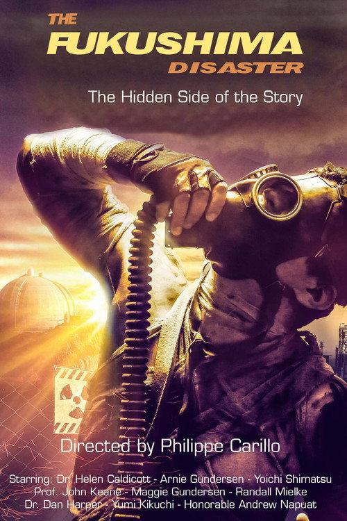 The Fukushima Disaster: The Hidden Side of The Story 2023 official movie poster