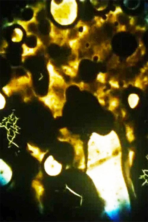 Microbes 1990 official movie poster