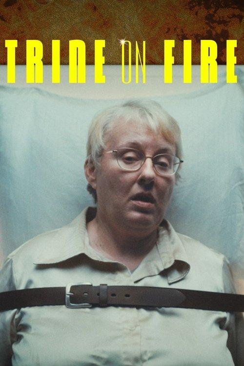 Trine on Fire 2025 official movie poster