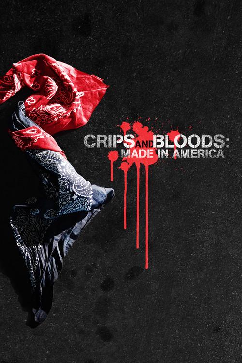 Crips and Bloods: Made in America 2009 official movie poster