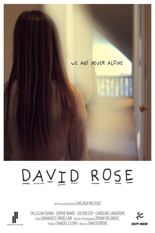 David Rose 2011 official movie poster