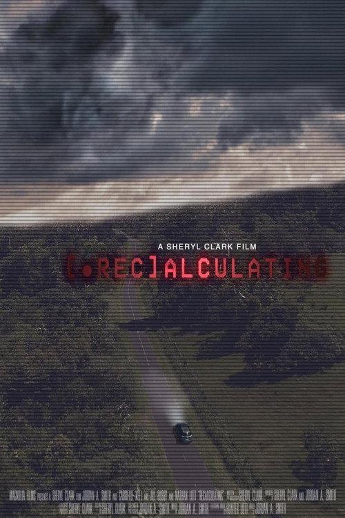 Recalculating 2024 official movie poster