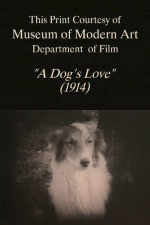 A Dog's Love 1914 official movie poster