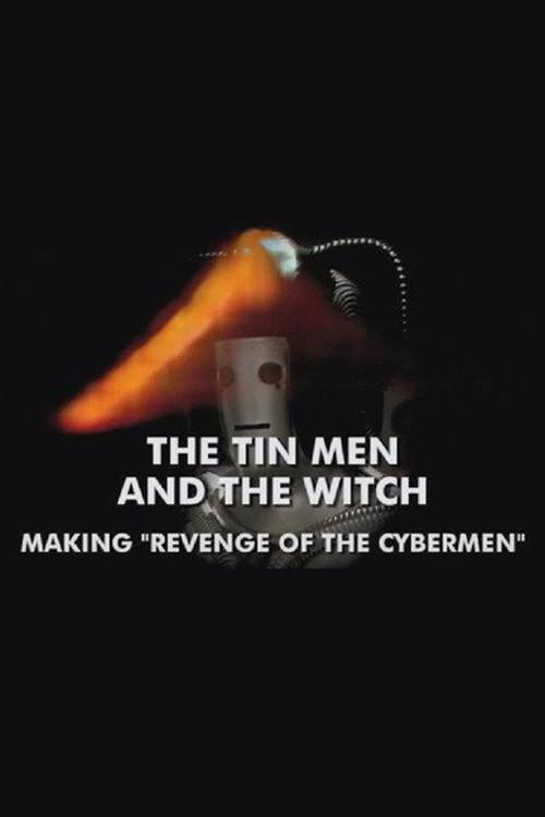 The Tin Men and the Witch 2010 official movie poster