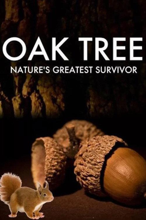 Oak Tree: Nature's Greatest Survivor 2015 official movie poster