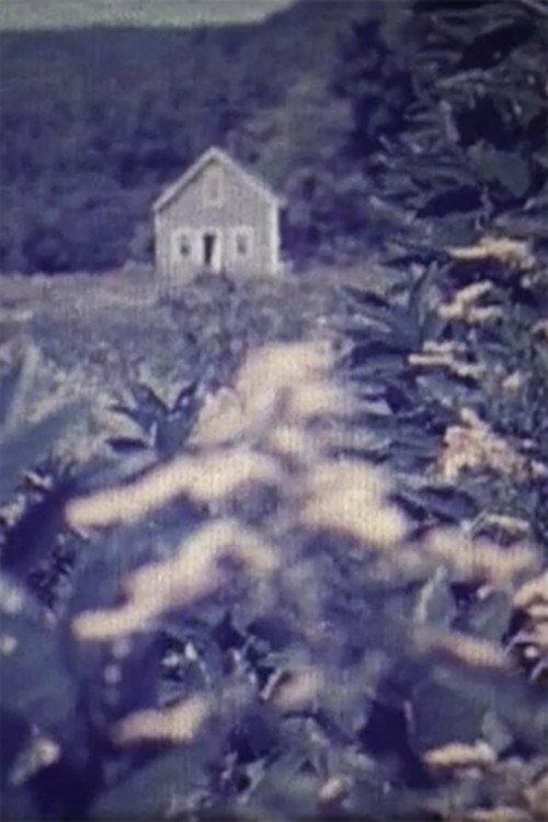 Homecall 1971 official movie poster