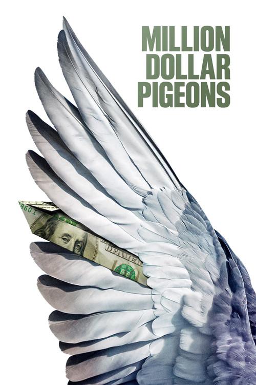 Million Dollar Pigeons 2022 official movie poster