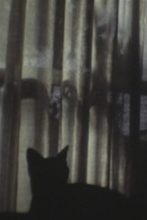 CAT ＆ CURTAIN 1995 official movie poster