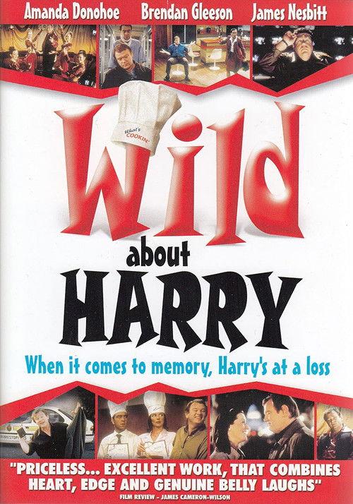 Wild About Harry 2000 official movie poster