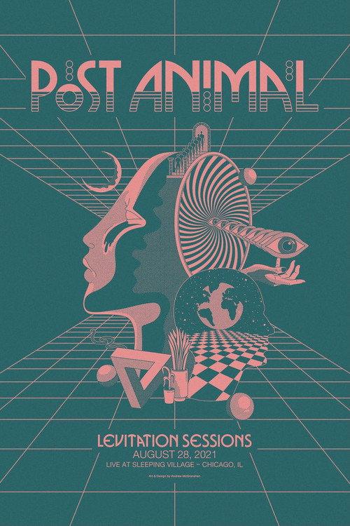 Post Animal - Levitation Sessions 2021 official movie poster