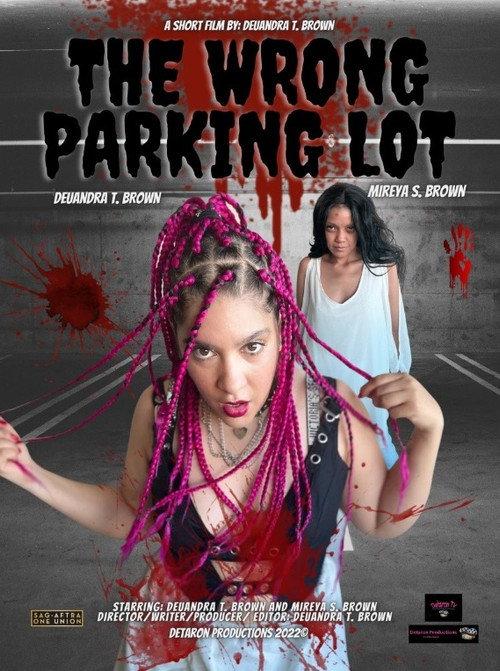 The Wrong Parking Lot 2022 official movie poster