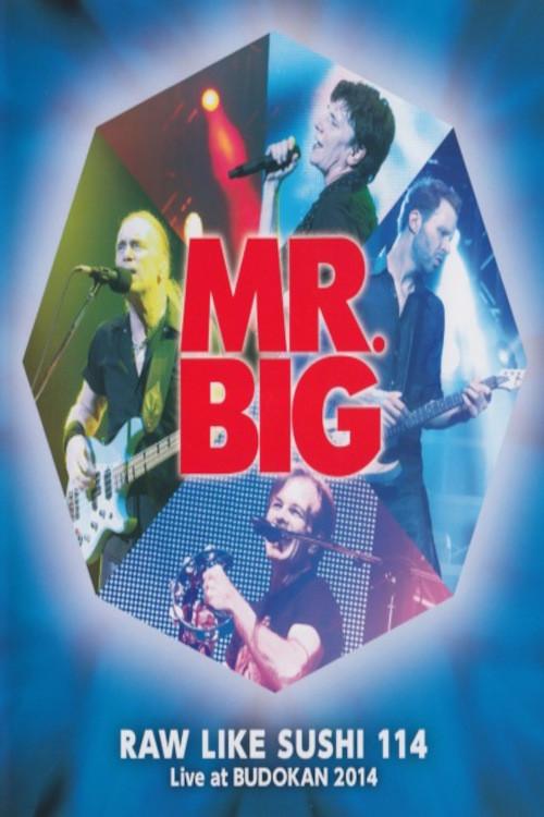 Mr. Big: Raw Like Sushi 114 2015 official movie poster