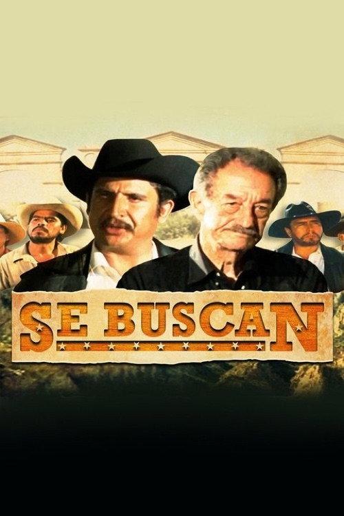 Se buscan 2003 official movie poster