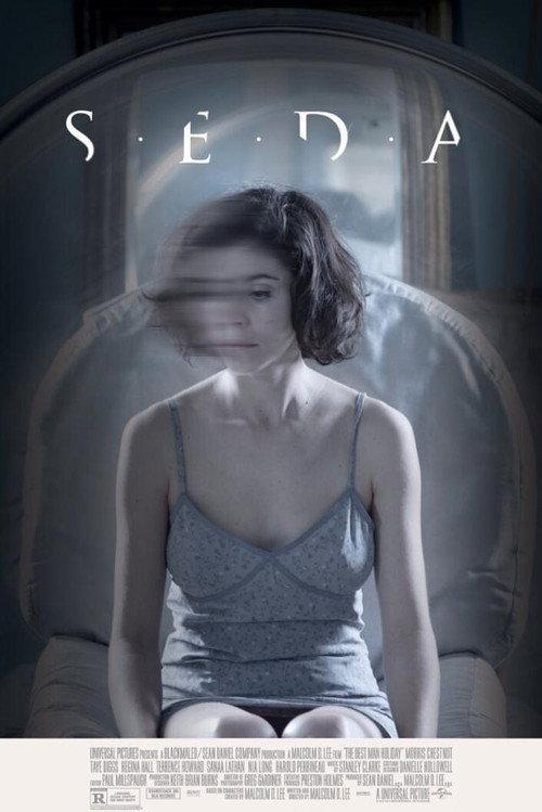 Silk 2018 official movie poster